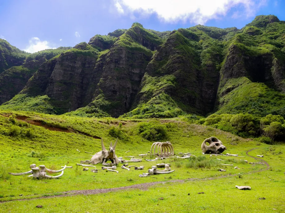 Ранчо Kualoa