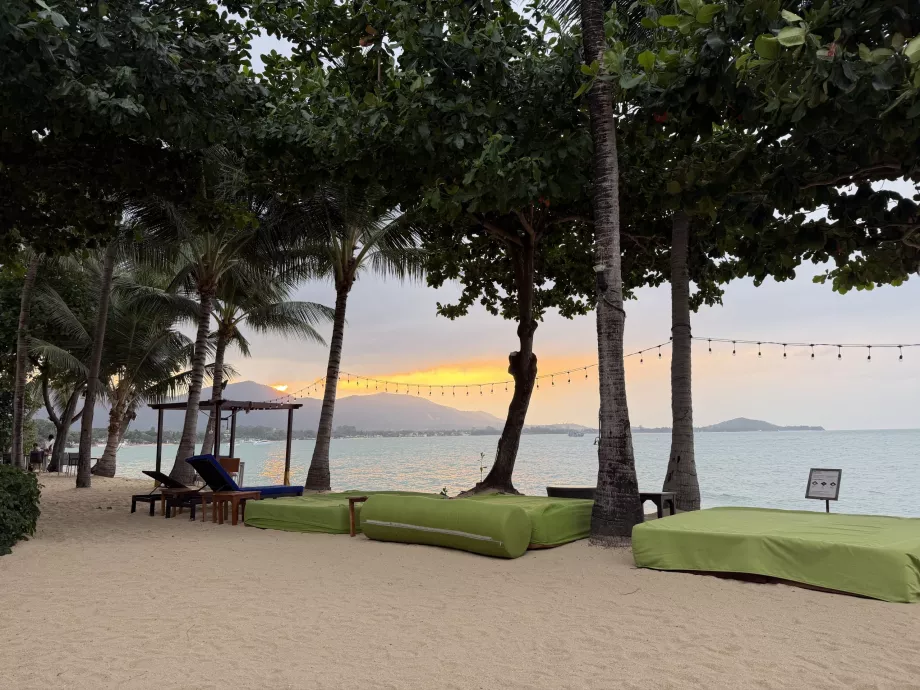 Хотелски плаж с шезлонги по залез слънце