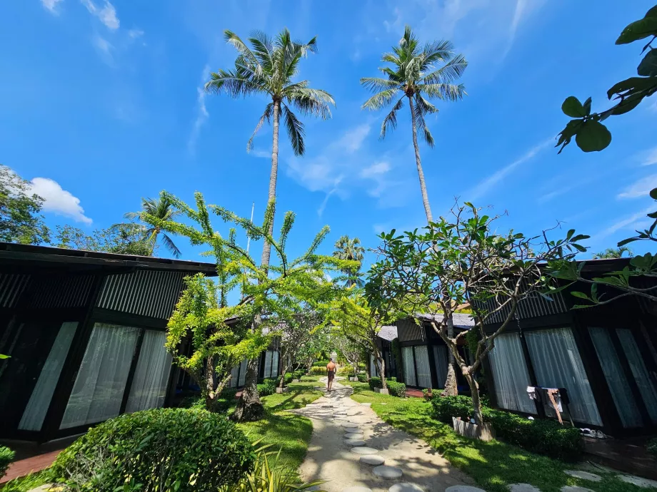 Област Homm Chura