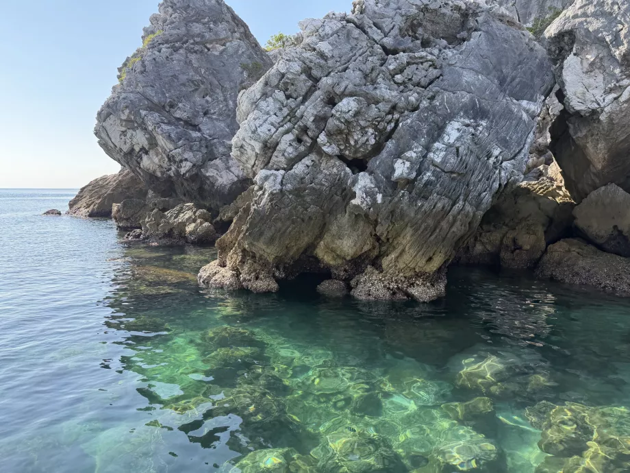 Място за гмуркане с шнорхел