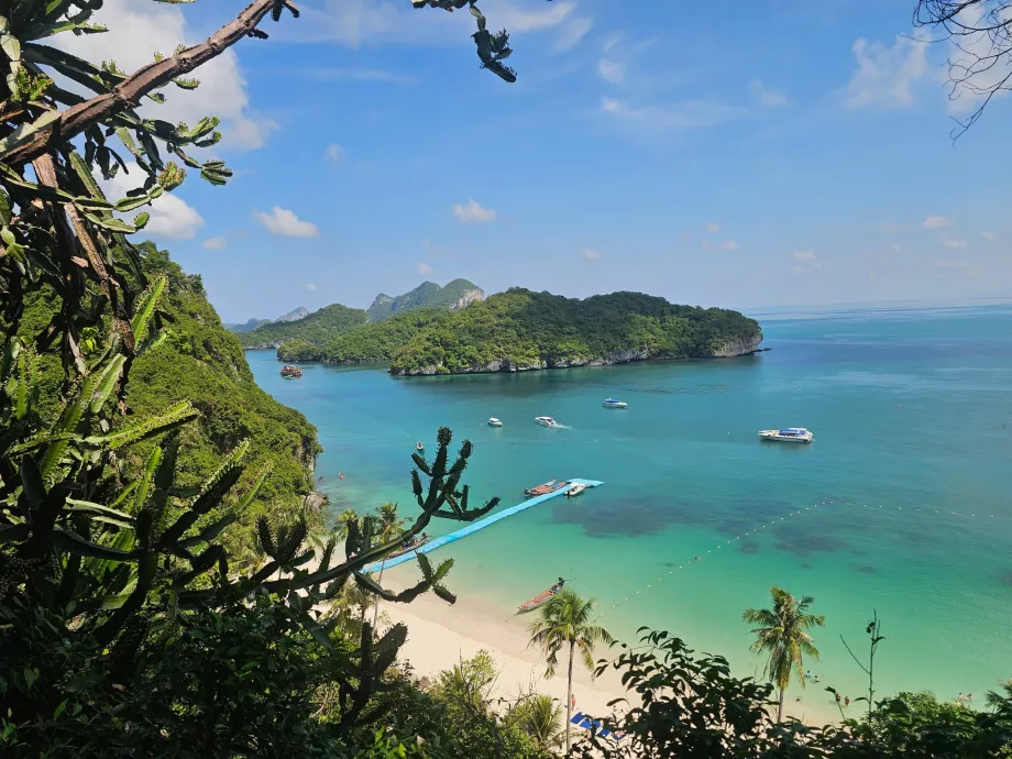 Пътека до най-високата гледка