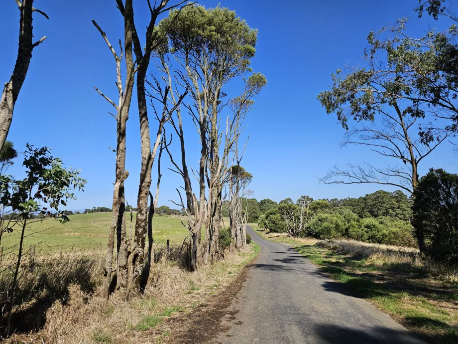 Национален парк Great Otway