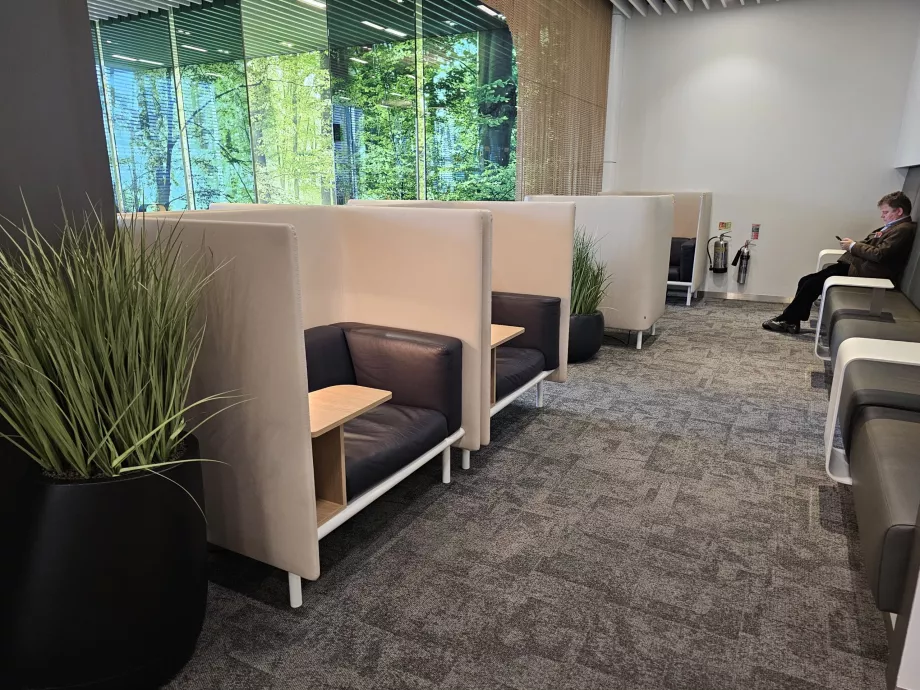 Седящи места в салона на сенатора