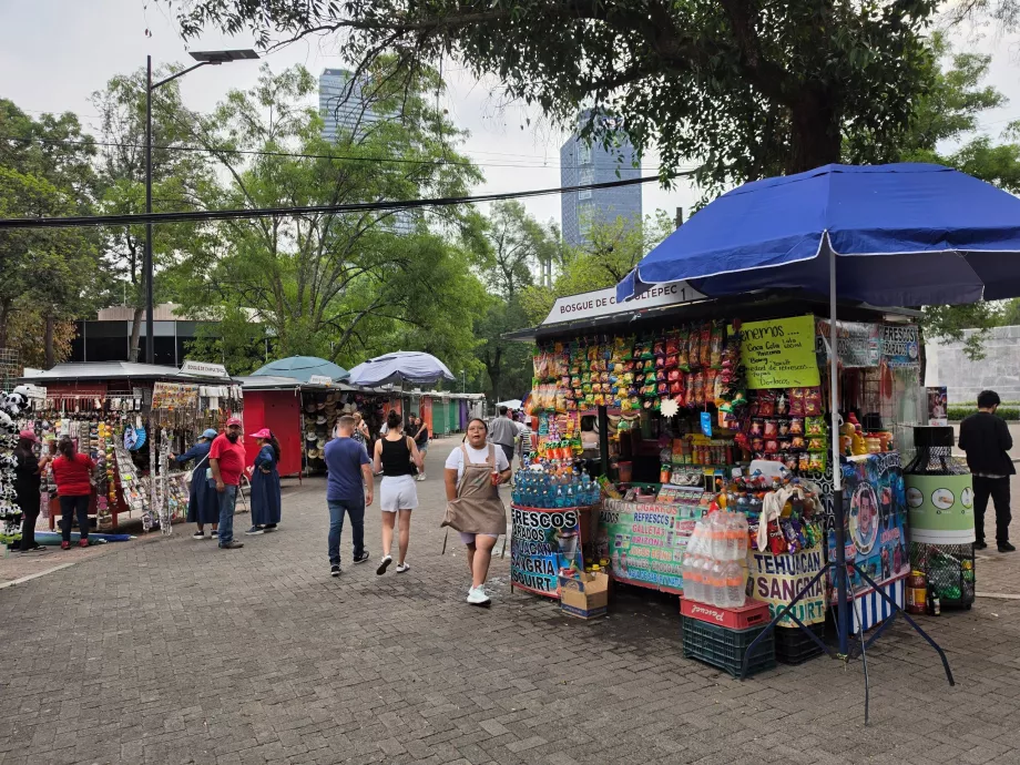 Bosque de Chapultepec, сергии