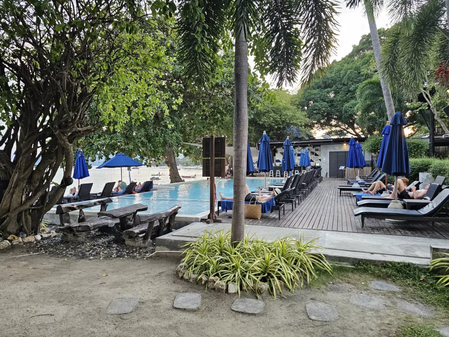 Плувен басейн с шезлонги