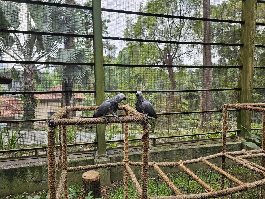 Парк за птици