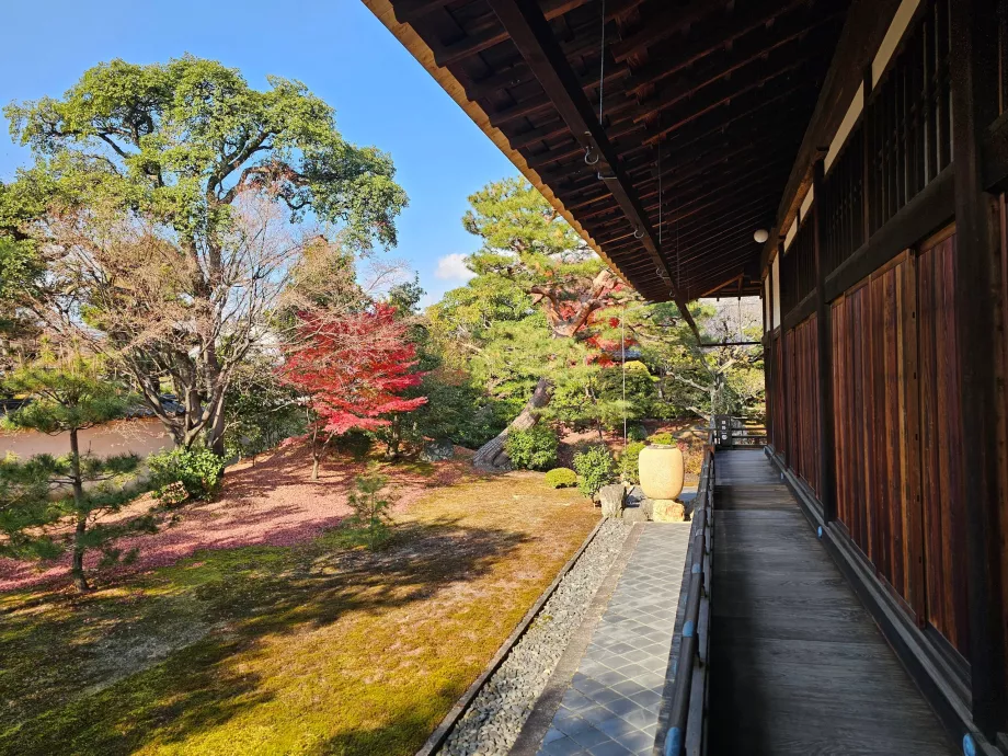 Храмът Шококу-джи