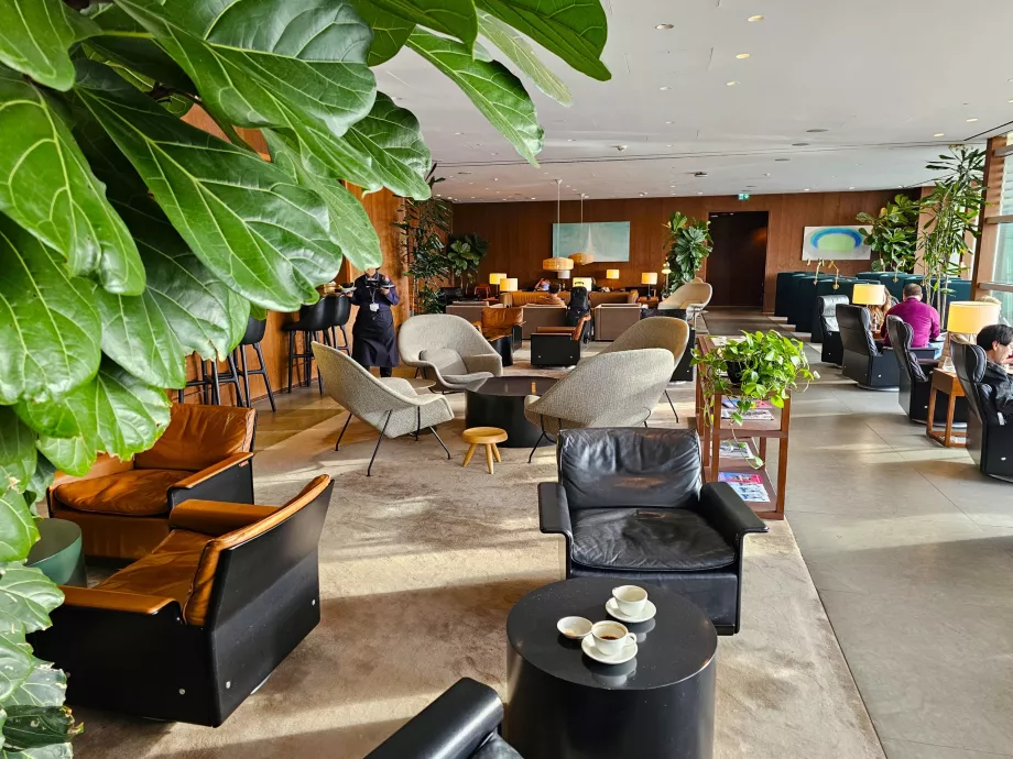 Общата среда на салона