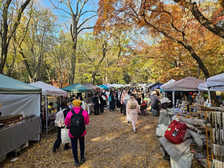 Пътят към светилището Шимогамо