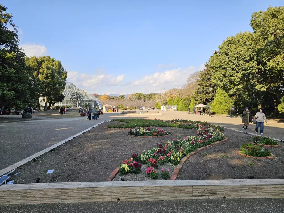 Ботанически градини в Киото