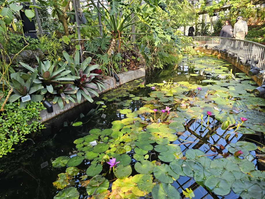 Ботанически градини в Киото