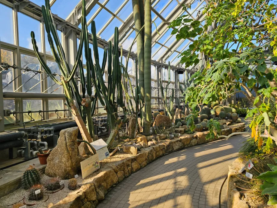 Ботаническите градини на Киото