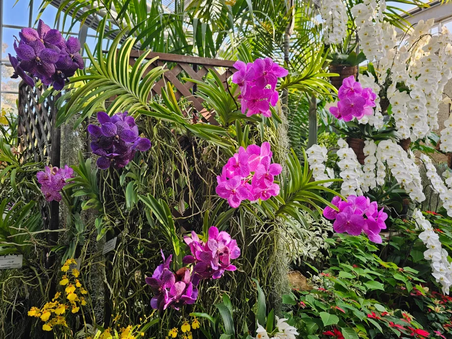 Ботанически градини в Киото