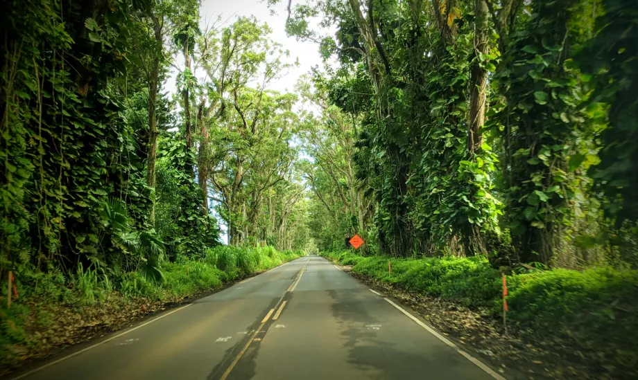 Kauai Road