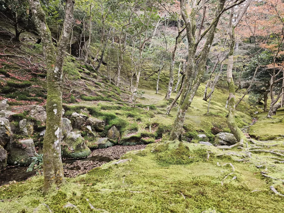 Гинкаку-джи