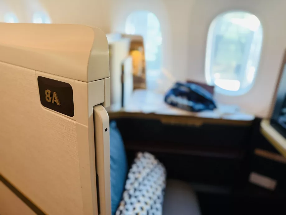 Моята седалка 8А с детайл на вратата