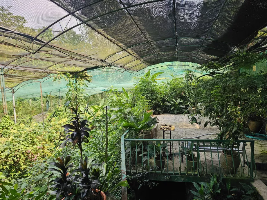 Парк за пеперуди
