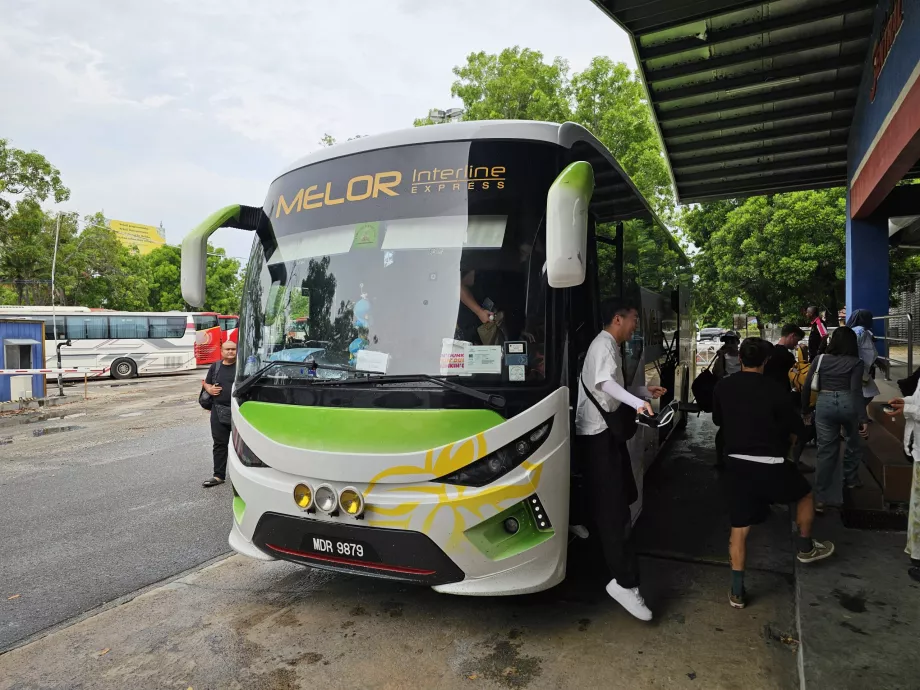 Melor Interline, автобус