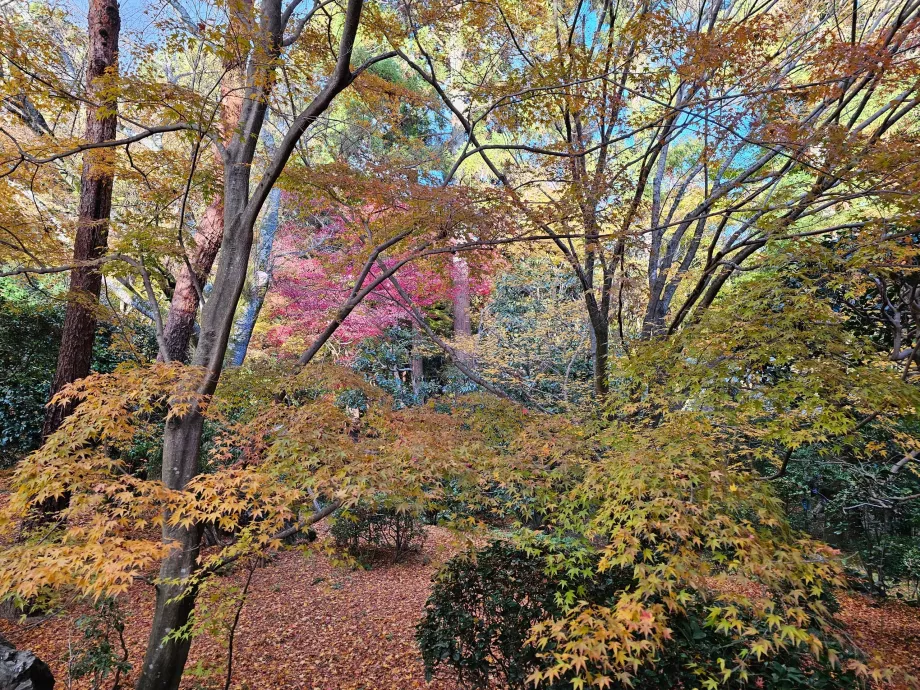 Храмът Рьоан-дзи