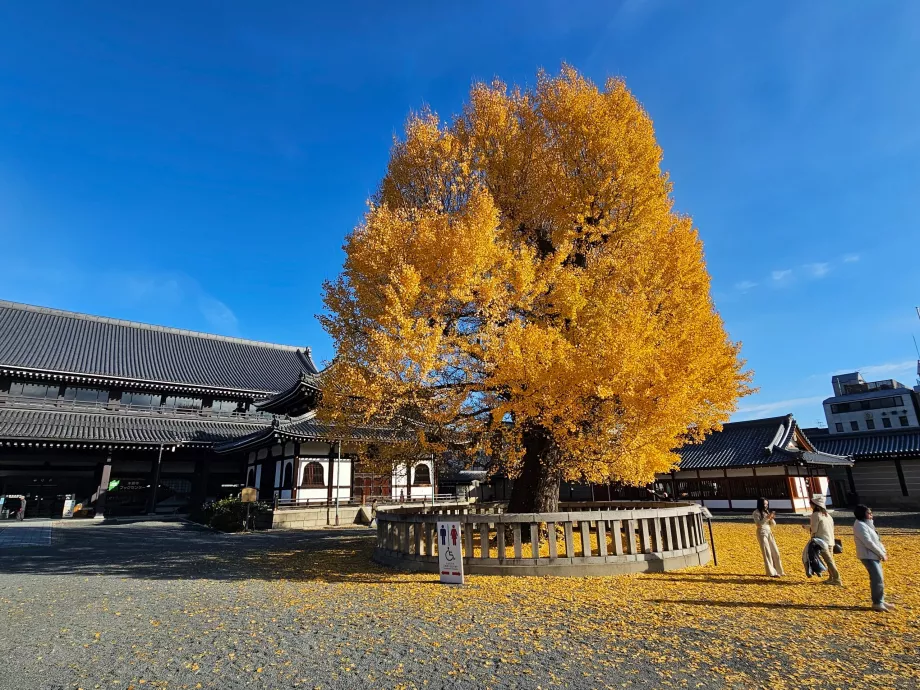 Ниши Хонган-дзи