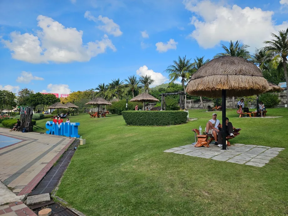 Беседки пред летището, обществена част