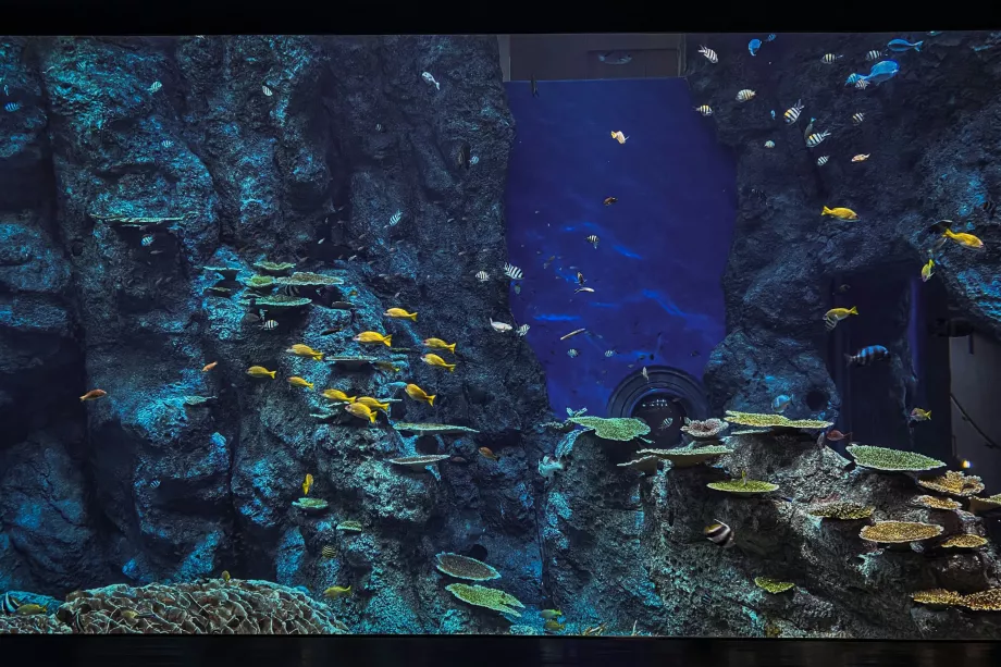 Парк Sea Life