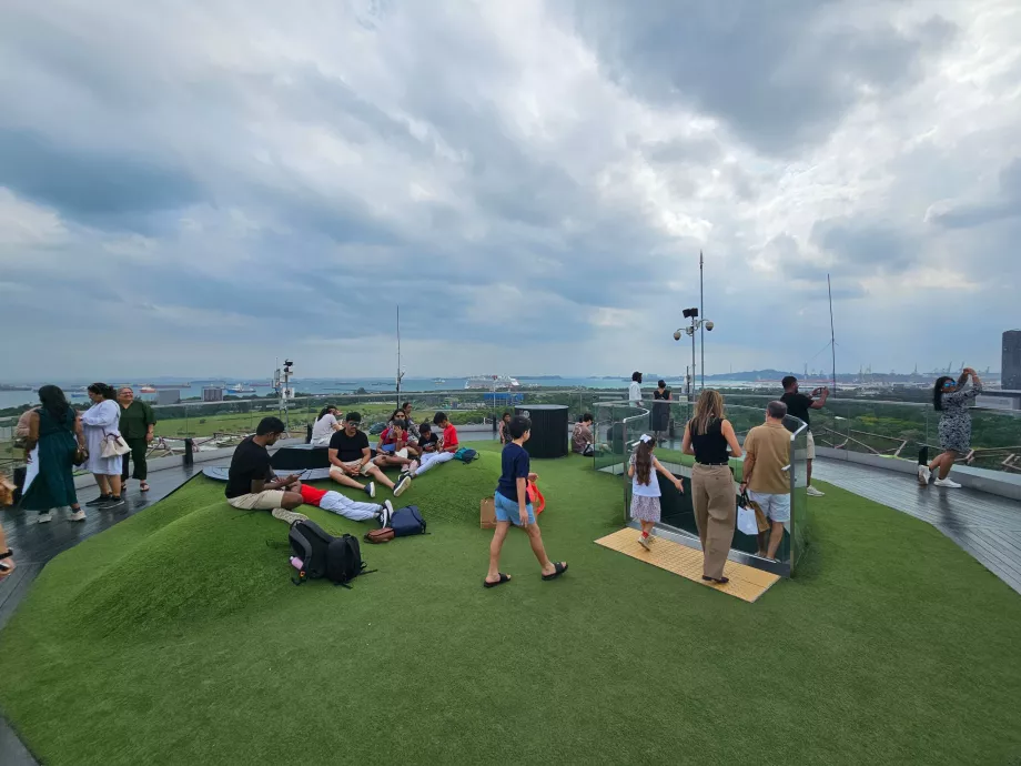 Обсерватория Supertree