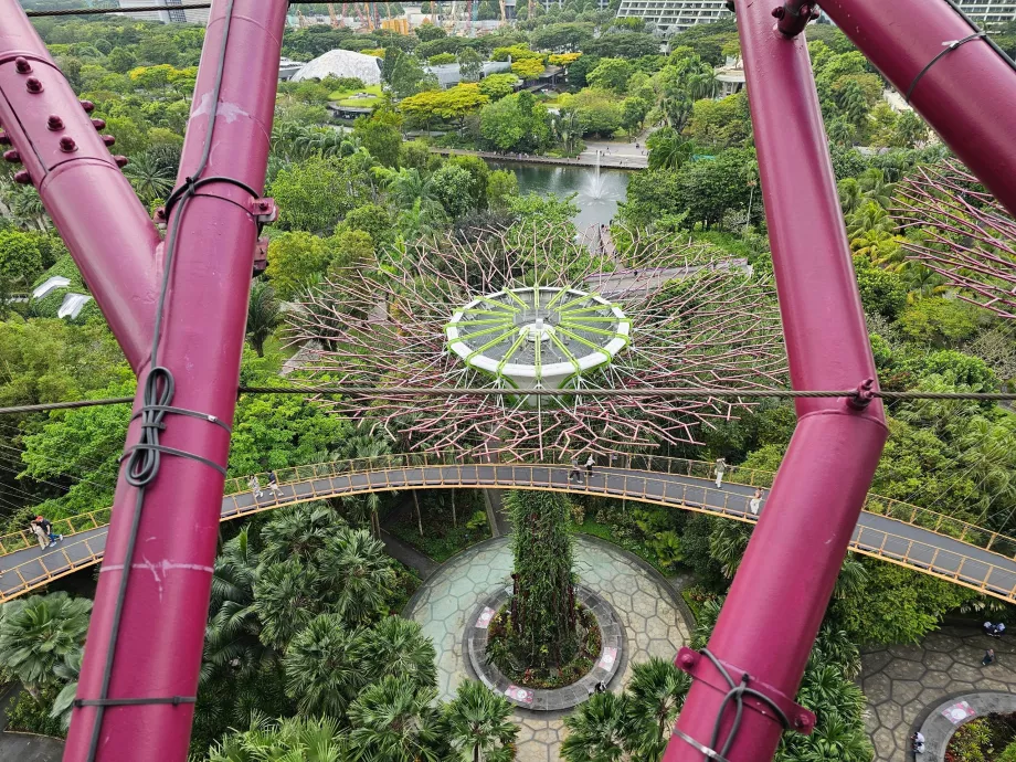 Обсерватория Supertree