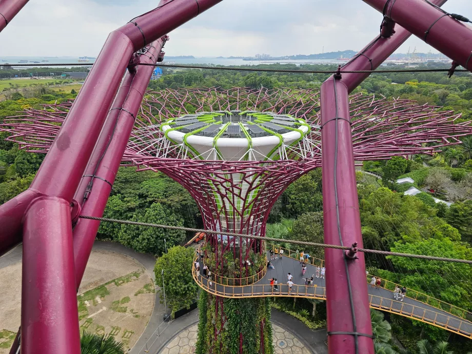 Обсерватория Supertree