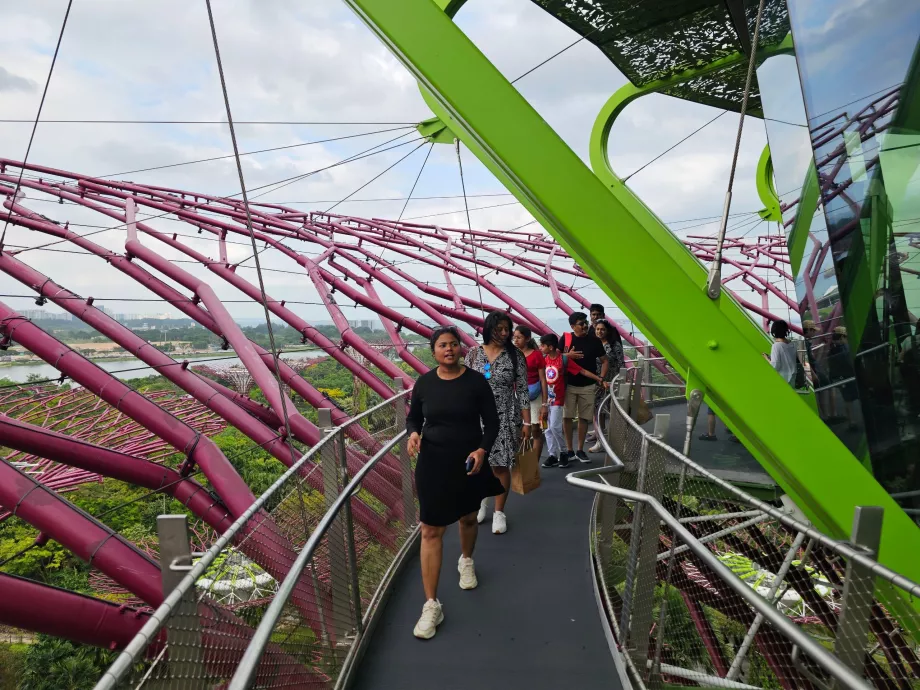 Обсерватория Supertree