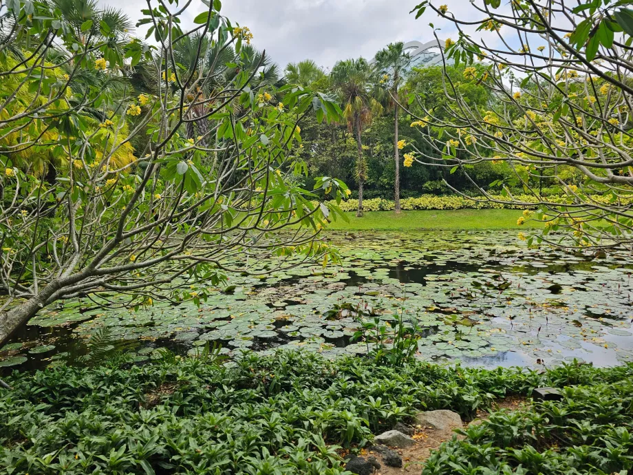 Градините край залива