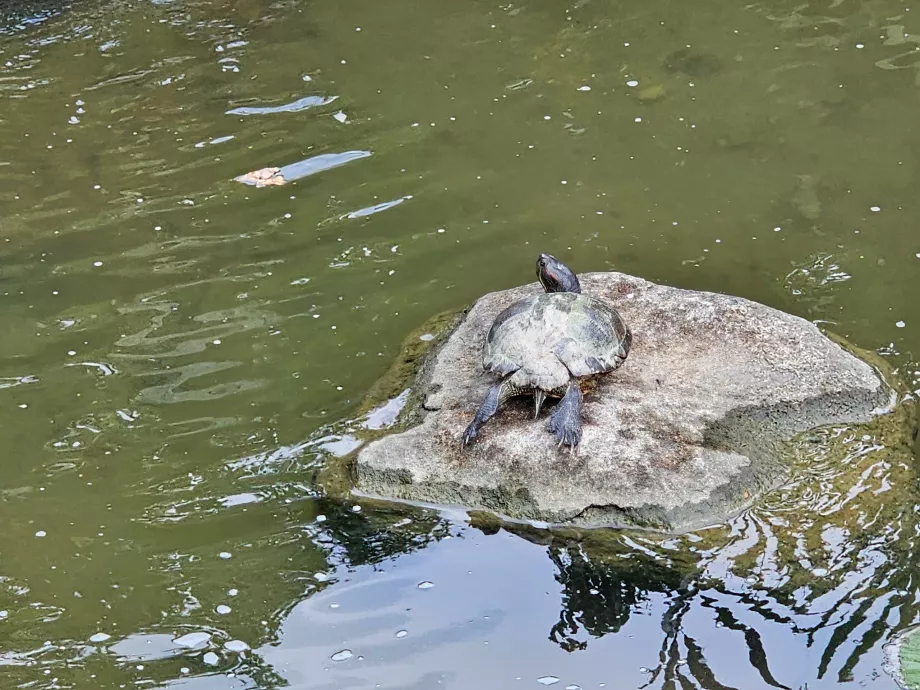 Градините край залива