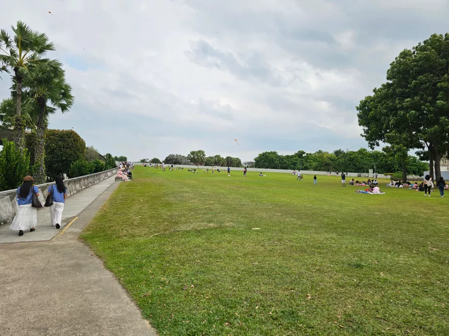 Марина Бараж