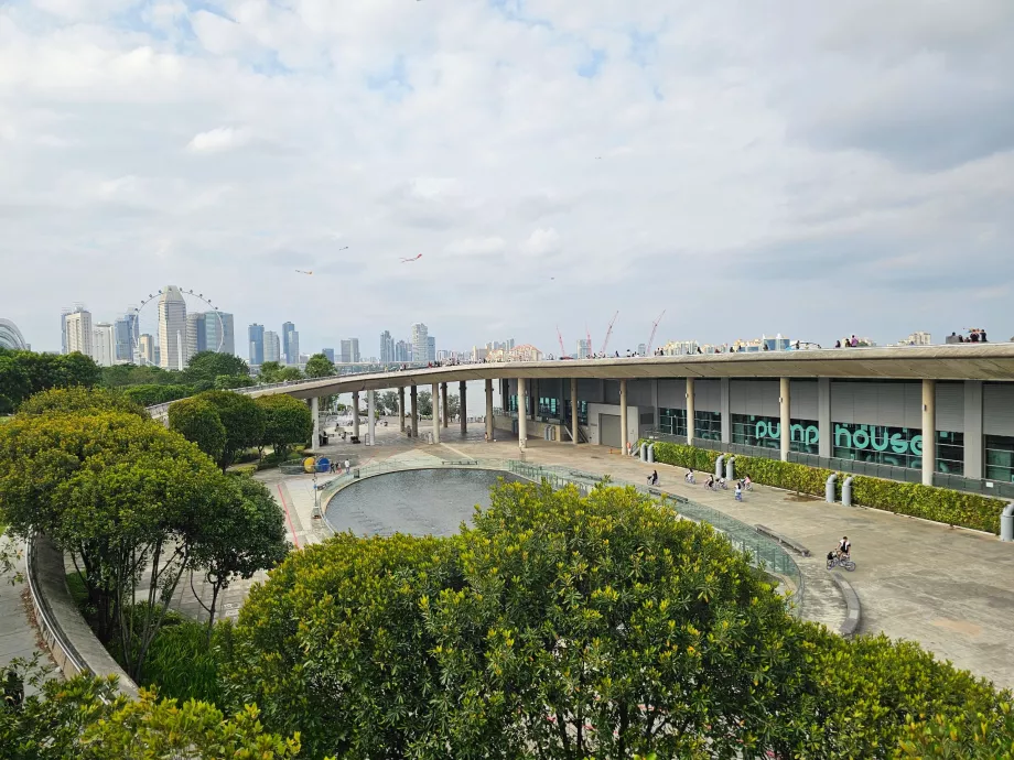 Марина Бараж