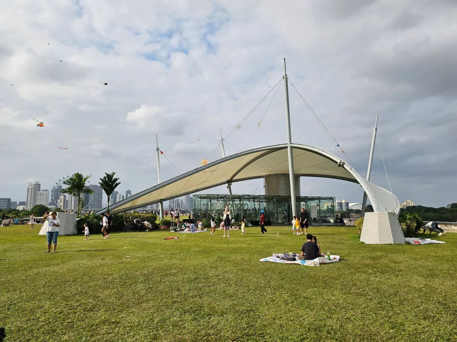 Марина Бараж