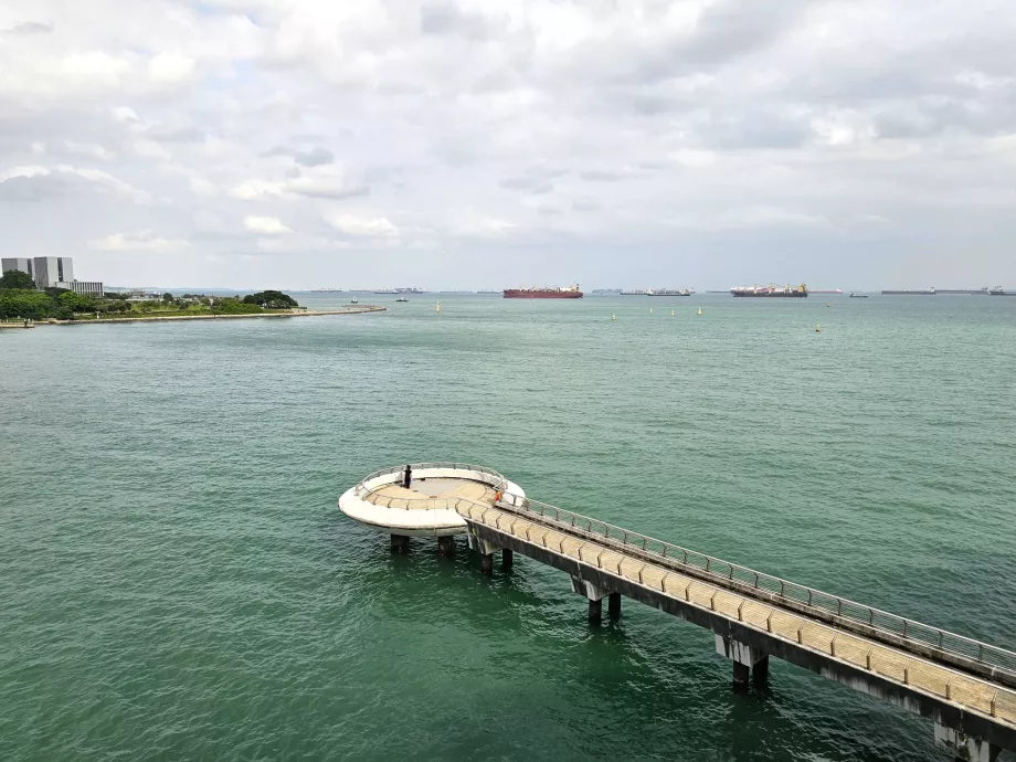 Марина Бараж