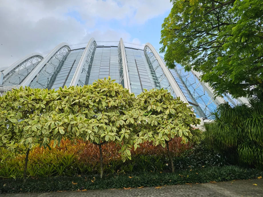 Облачна гора