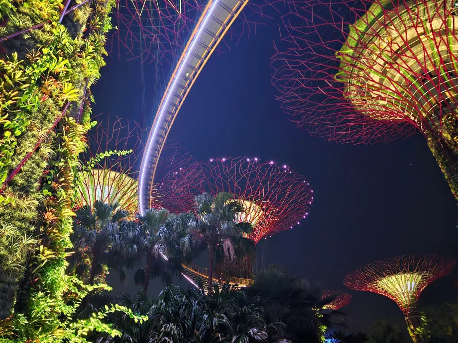 Градинска рапсодия