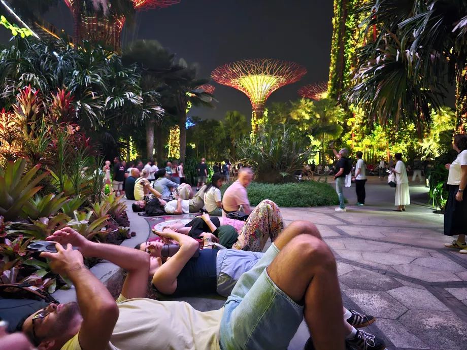 Градинска рапсодия