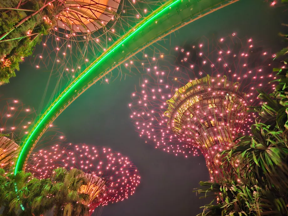 Градинска рапсодия