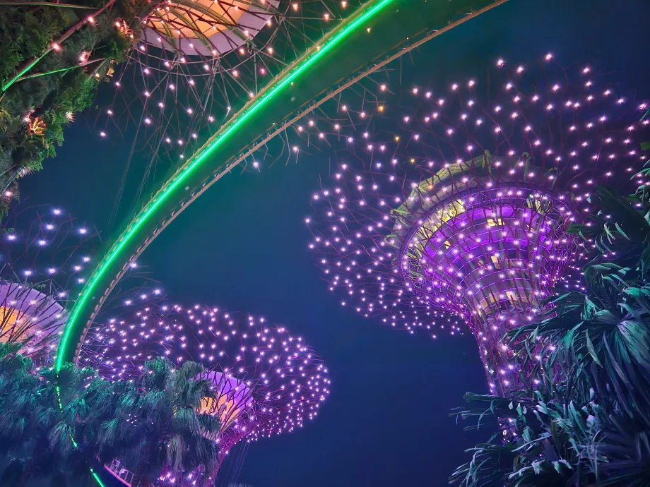 Градинска рапсодия