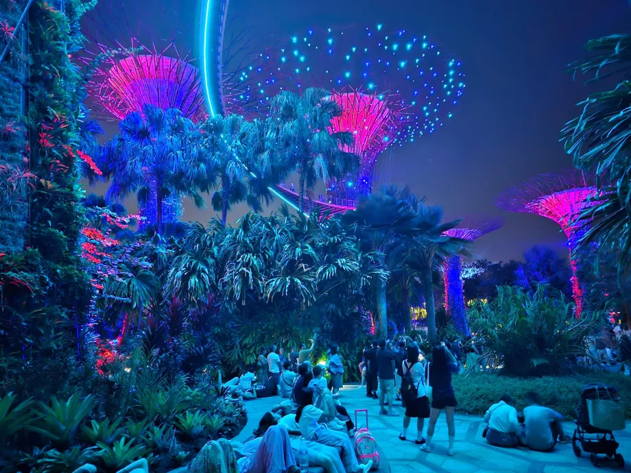 Градинска рапсодия