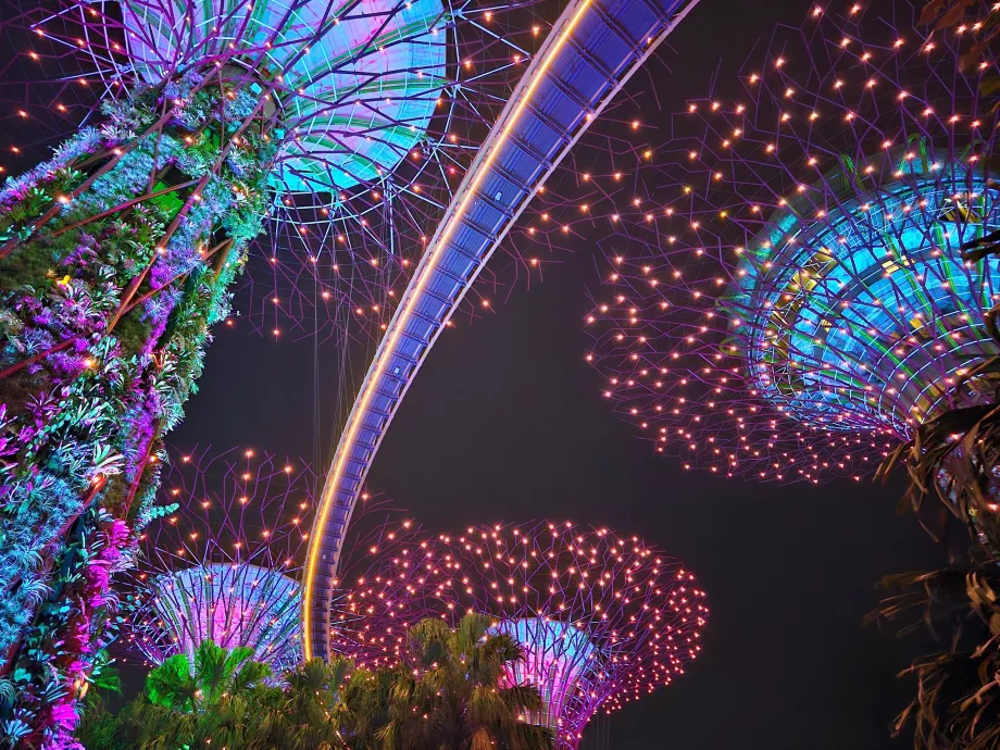 Градинска рапсодия