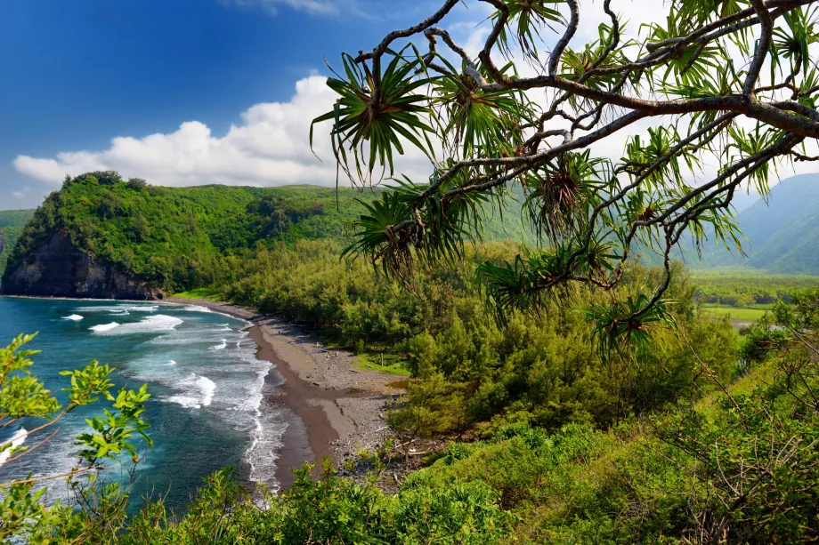 Пътека Pololu