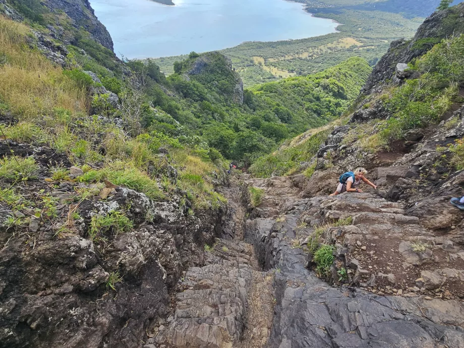 Катерене на Le Morne