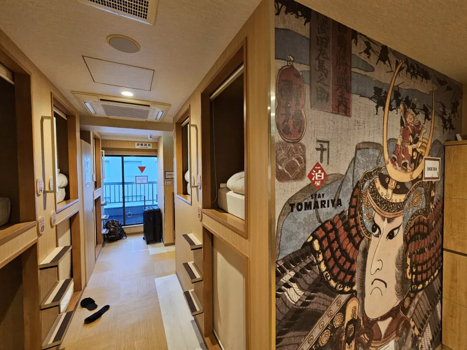 Обща част и капсула над нея