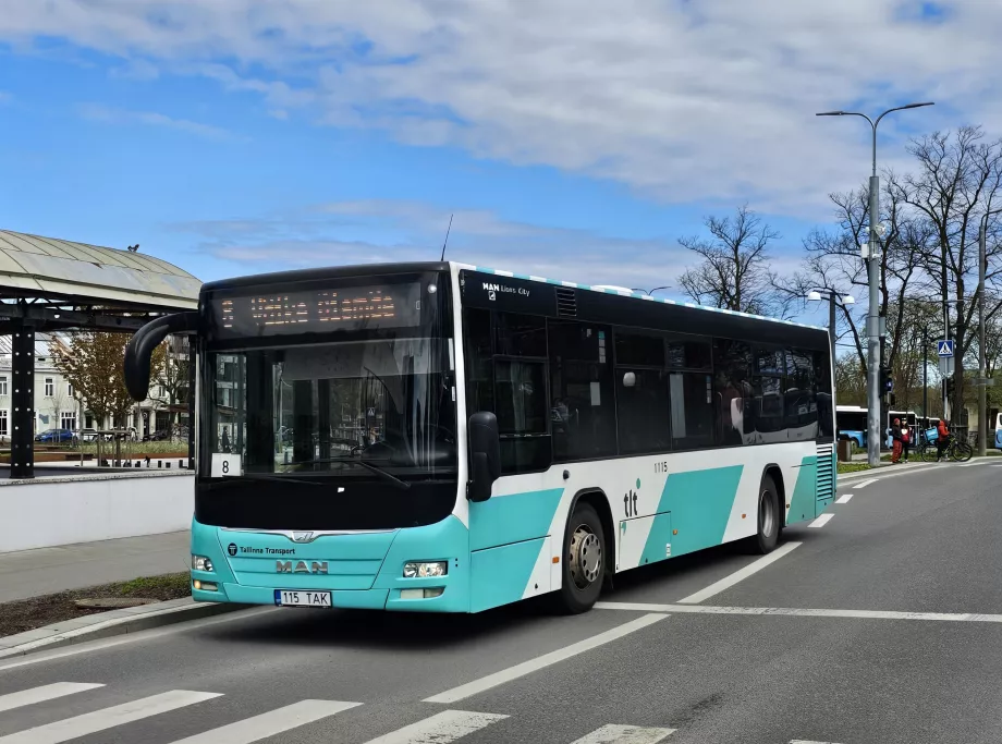 Автобуси Талин