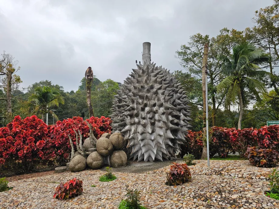 Плодове от магически камък