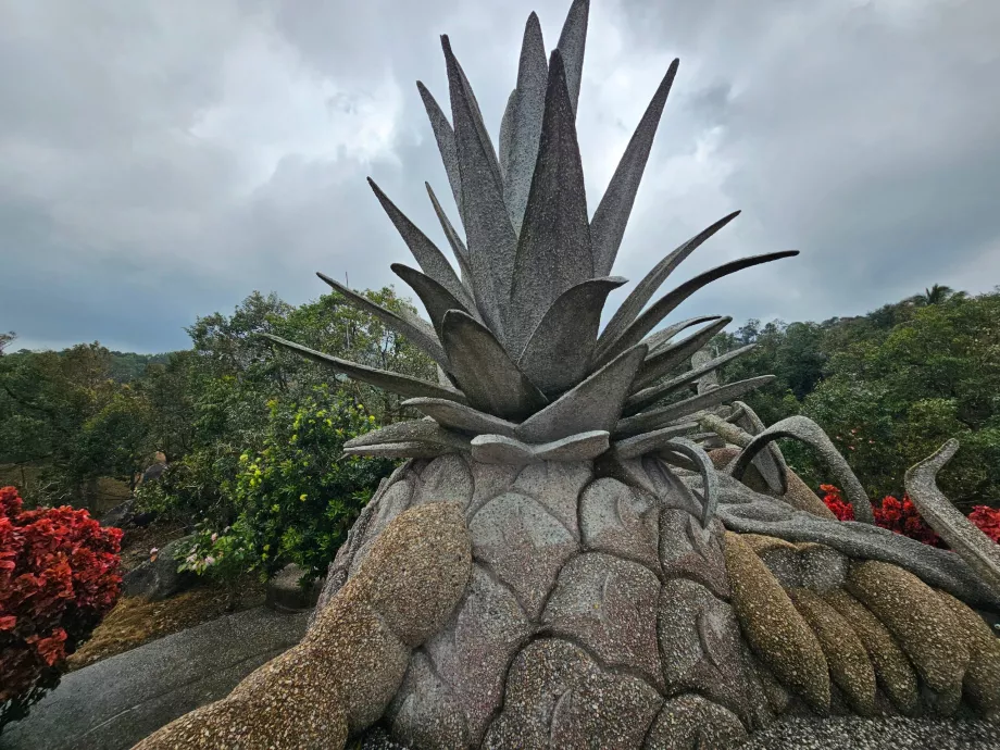 Плодове от магически камък