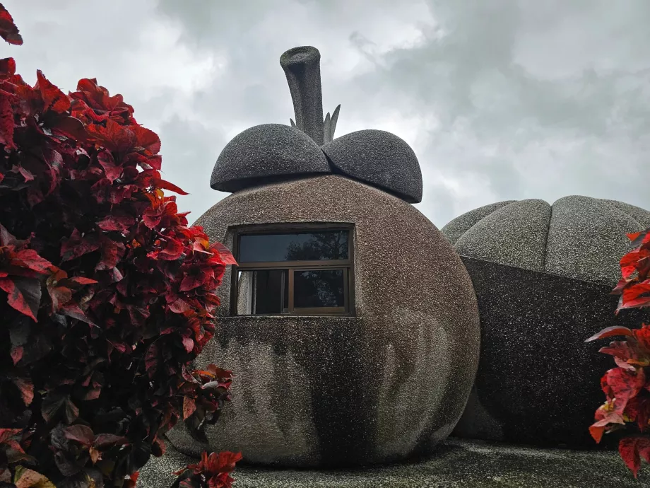 Плодове от магически камък